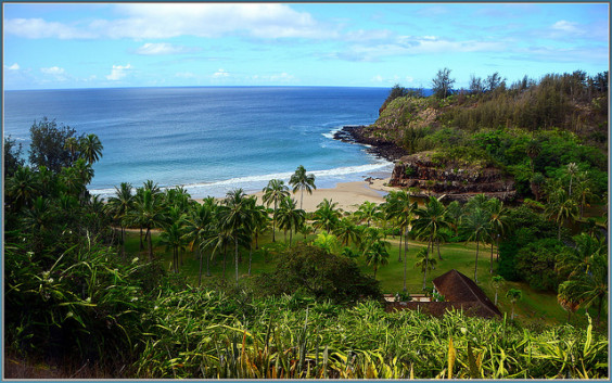 American: Phoenix – Kauai, Hawaii. $298. Roundtrip, including all Taxes