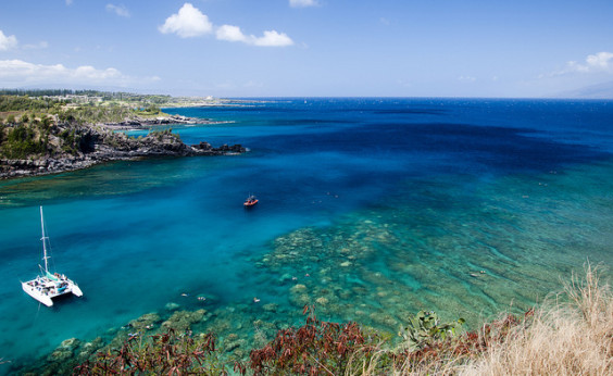 American: Seattle – Maui, Hawaii (and vice versa). $295. Roundtrip, including all Taxes